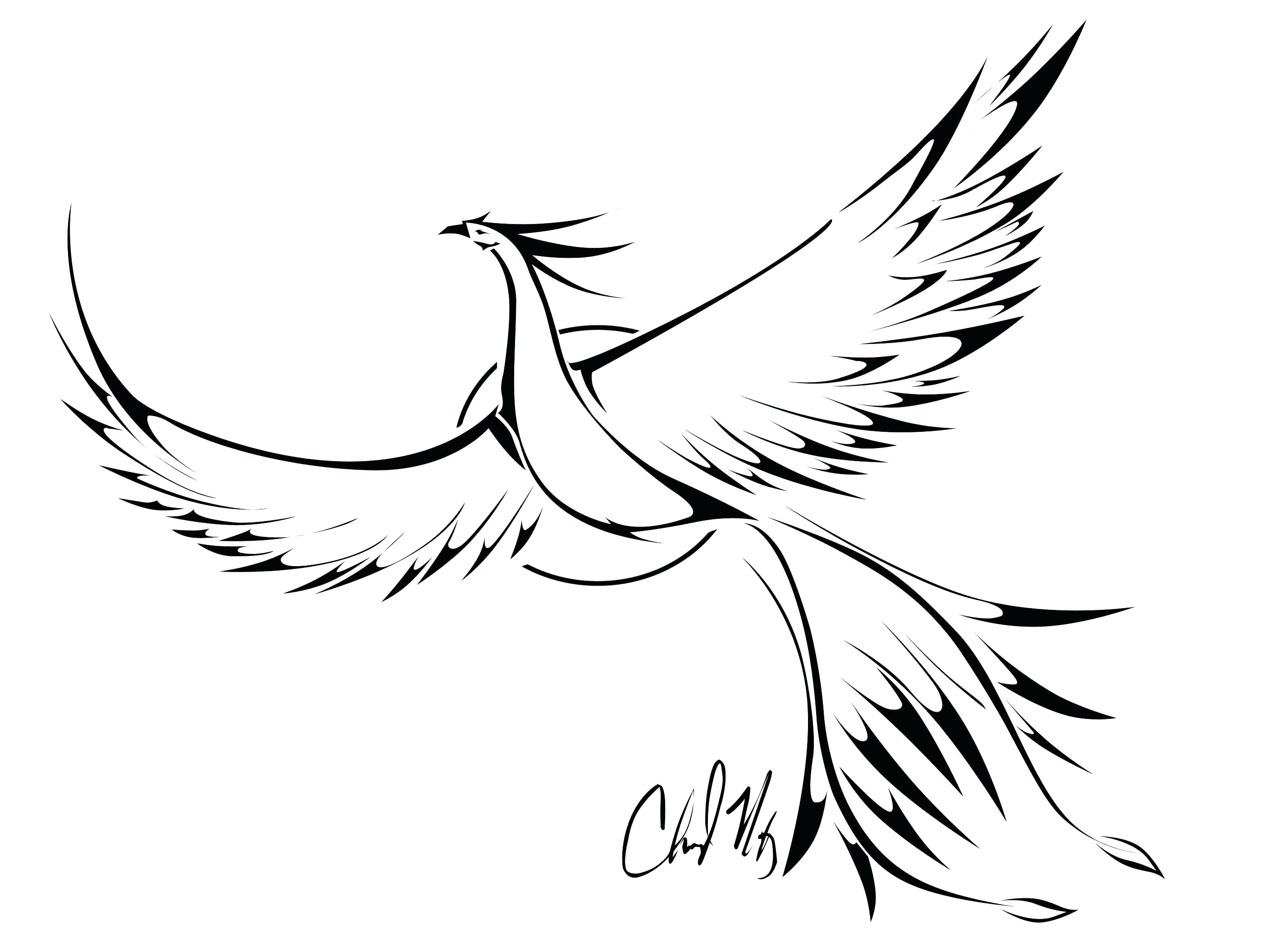 2816x2112 Printable Flying Bird Outline Printable