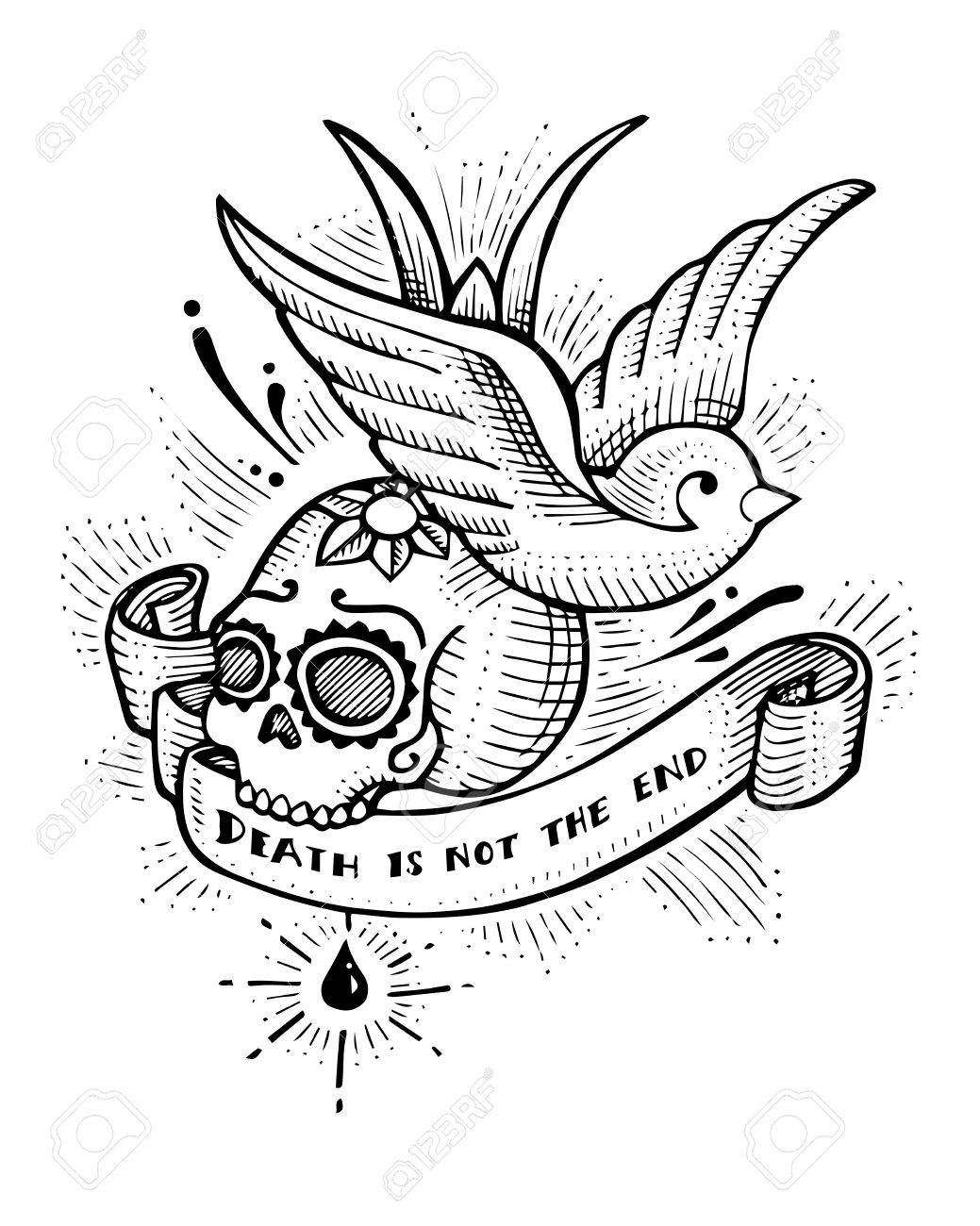 1039x1300 Hand Drawn Vector Illustration Or Drawing Of Swallow Bird