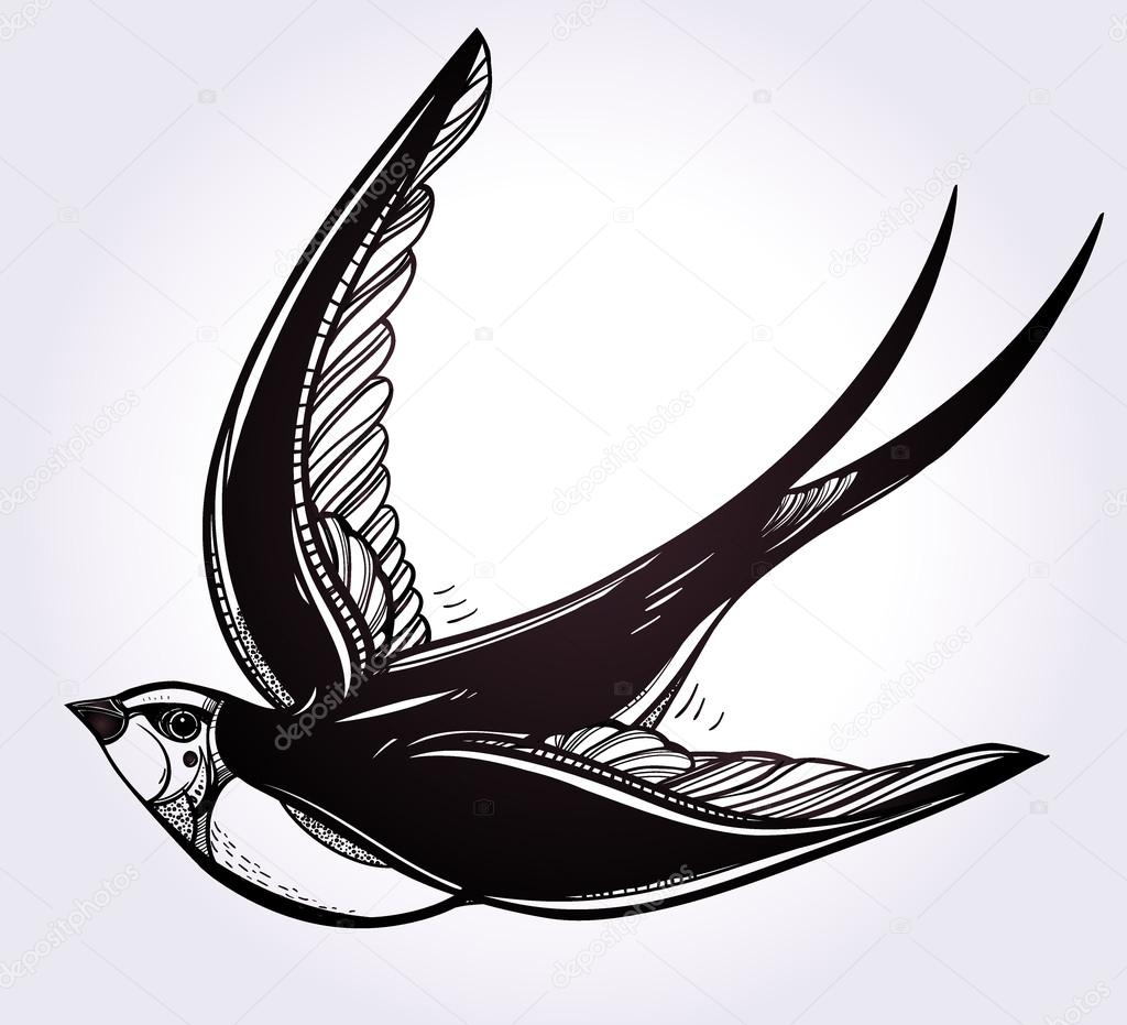 1024x931 Hand Drawn Swallow Bird Vintage Retro Style. Stock Vector