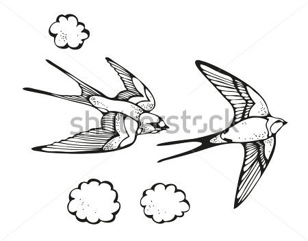 450x352 Simple Swallow Drawing