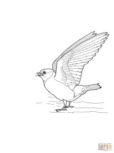225x300 Swallow 3 Pattern Coloring Page