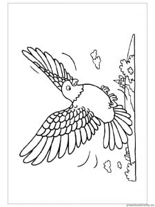 225x300 Swallow Coloring Pages For Kids