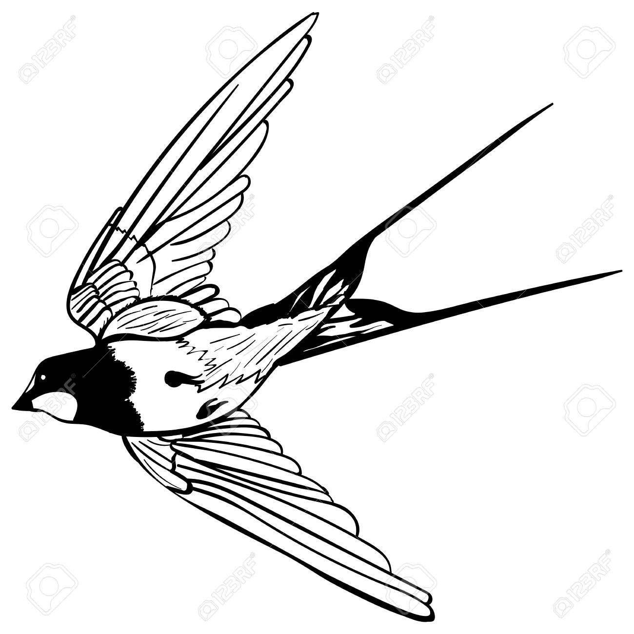 1300x1300 Vector Silhouette Flying Swallows On White Background Sketch