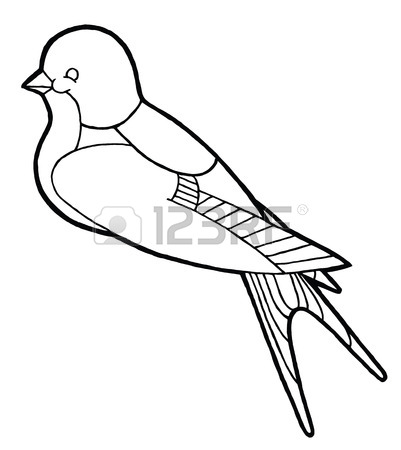 401x450 Contour Hand Drawing Swallow