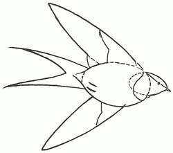 250x221 Exam Guide Online