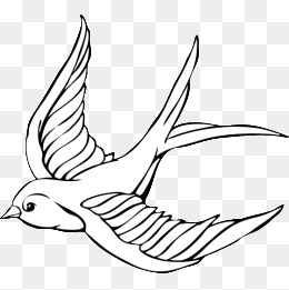 260x261 Flying Swallows, Swallow, Bird, Feather Png Image For Free Download