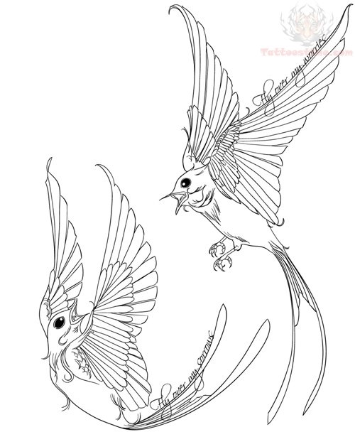 500x608 Swallow Tattoos Designs