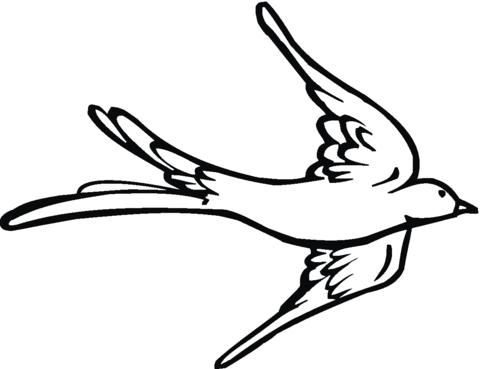 480x369 Swallow 11 Coloring Page Free Printable Coloring Pages