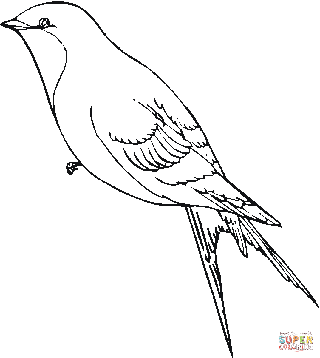 1073x1200 Swallow Coloring Page Free Printable Coloring Pages