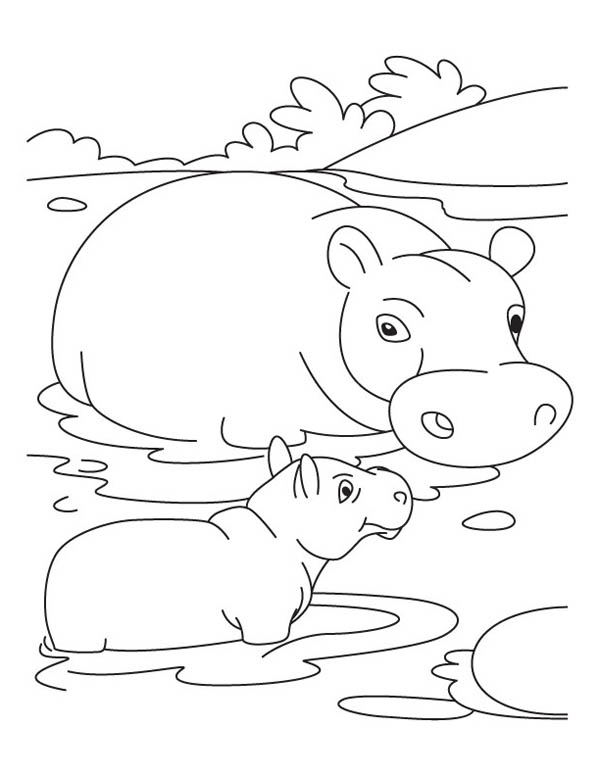 600x776 Mother Hippo And Baby In The Swamp Coloring Page