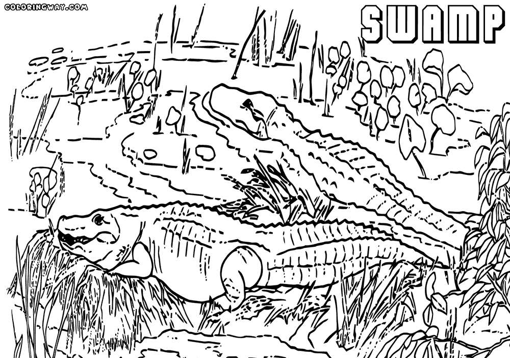 1000x702 Swamp Coloring Pages Coloring Pages To Download And Print