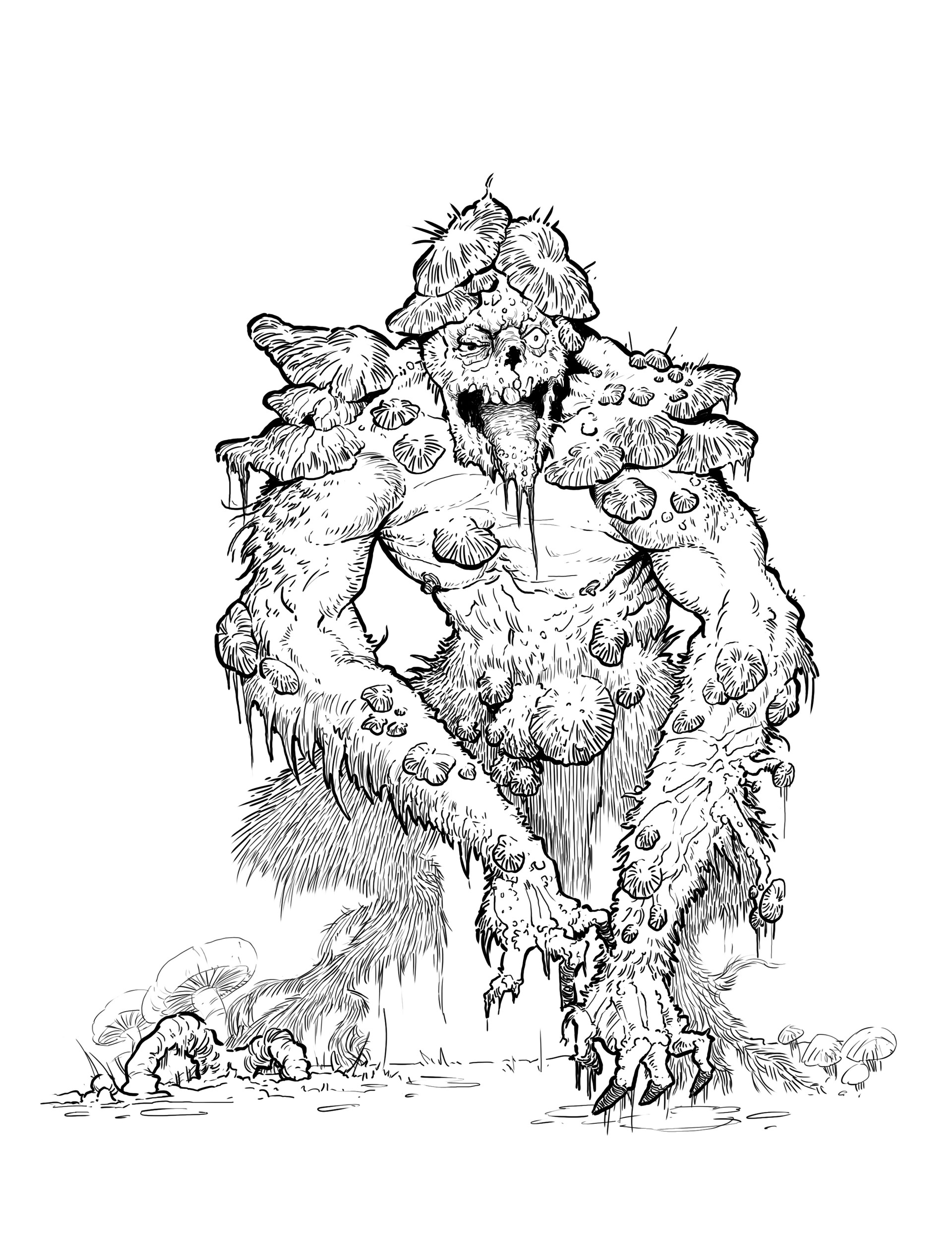 1920x2485 Wilson Wessels Illustration