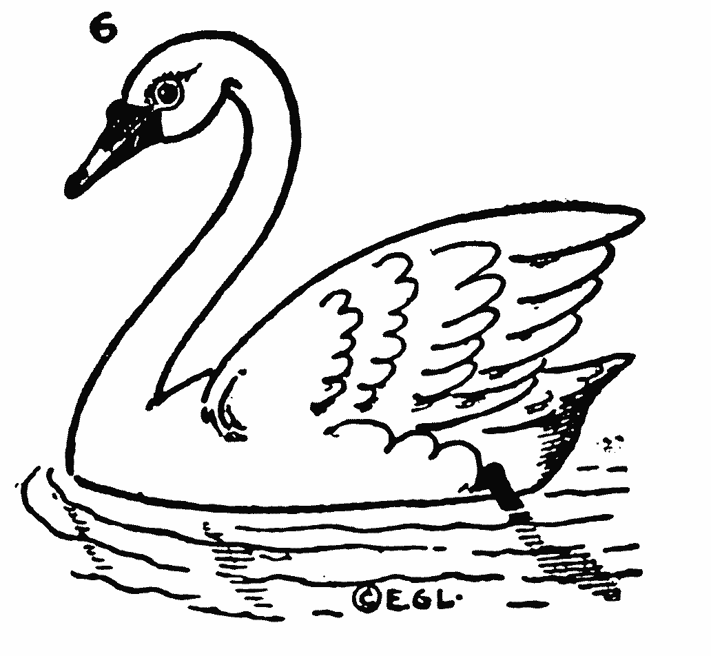 1032x952 How To Draw A Swan Step By Step