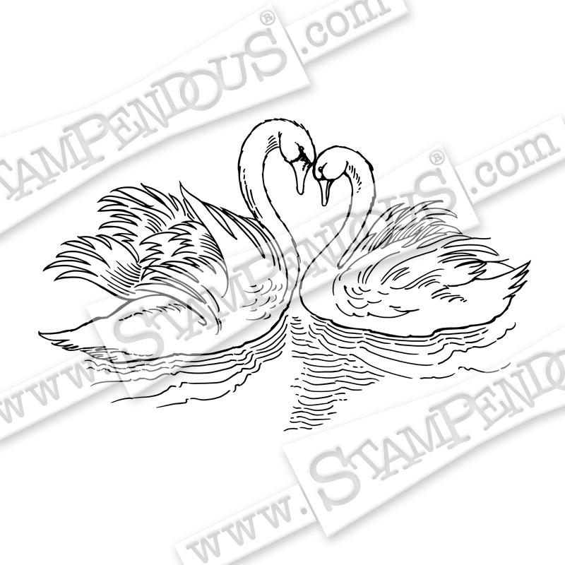 800x800 Swan Pair Rubber Stamp