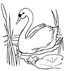 213x236 Swan Sketch By Nemalo Cottage