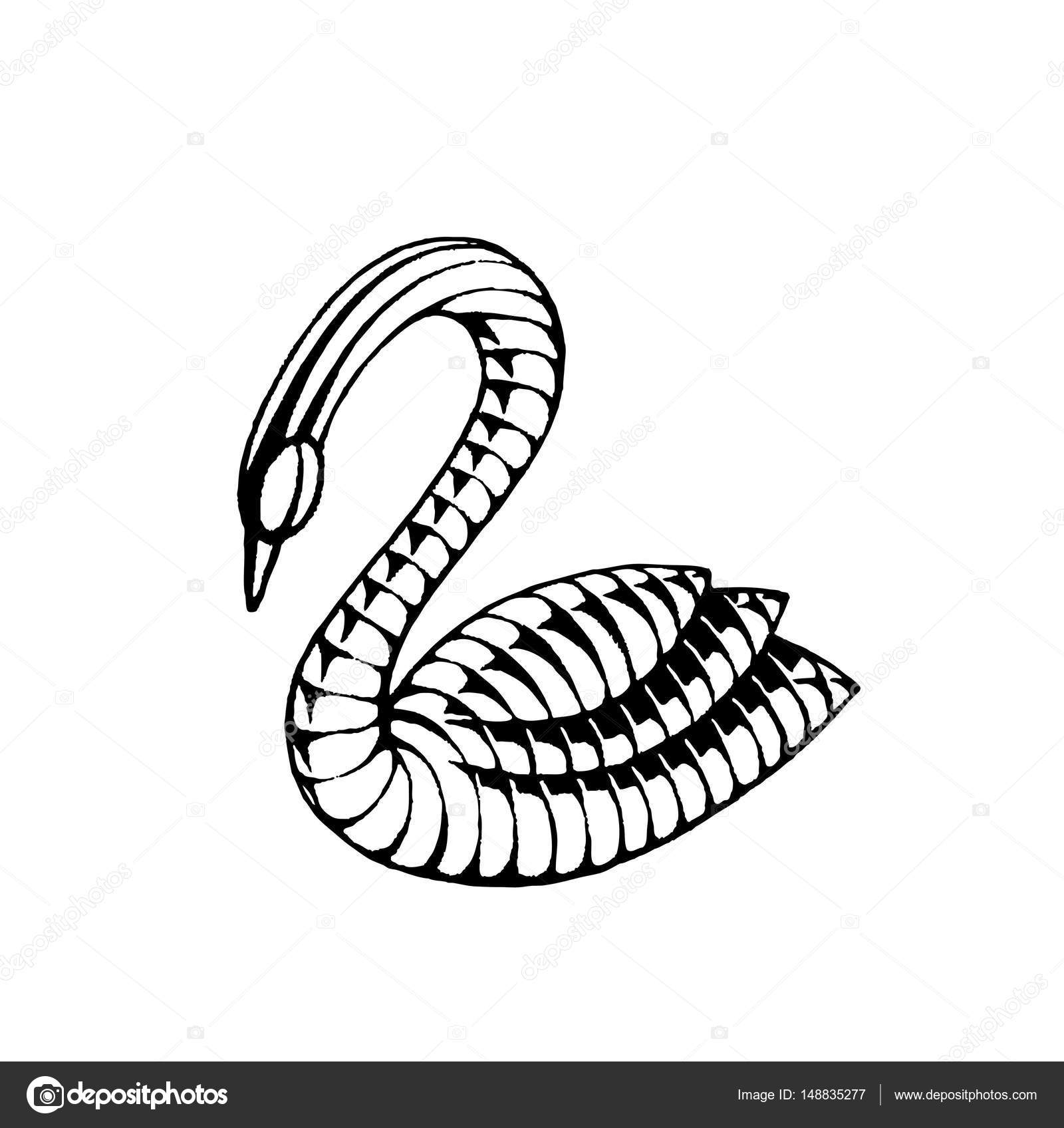 1600x1696 Vectorized Ink Sketch Of A Swan Stock Vector Cidepix
