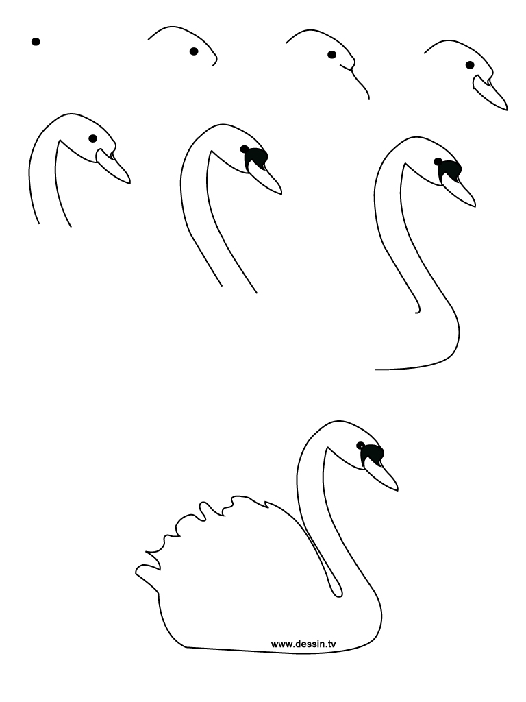 768x1024 Drawing Swan