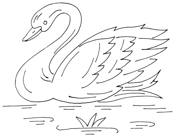 Swan Heart Drawing at GetDrawings | Free download