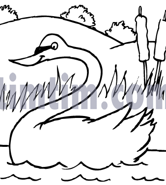 338x378 Free Drawing Of Swan Bw2 From The Category Birds Amp Insects