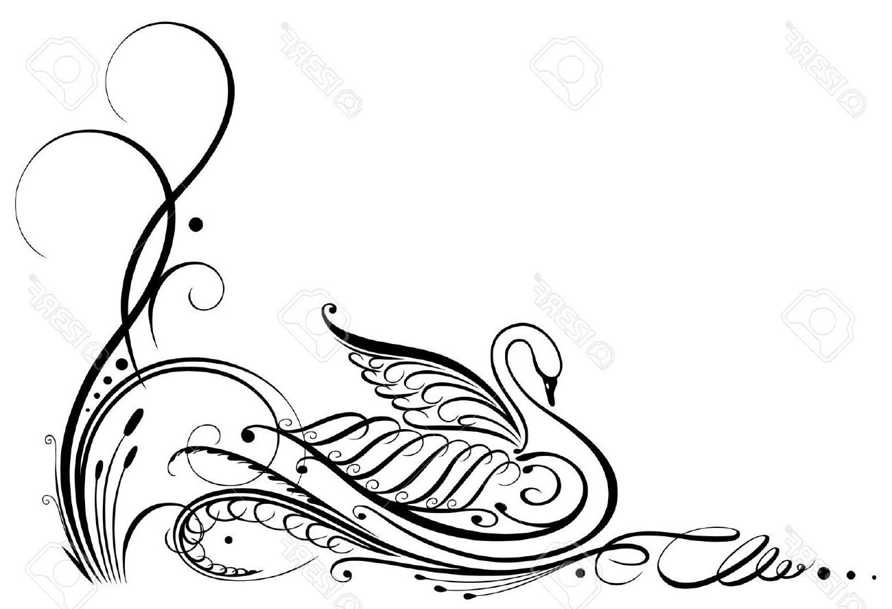 1300x887 Hd Black Swan Calligraphy Stock Vector Filigree Drawing