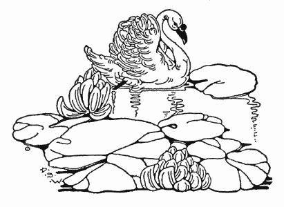 411x300 Swan Among The Lillies