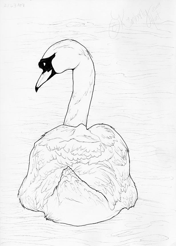 616x860 Another Swan By Foux