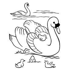 230x230 Top 10 Swan Coloring Pages For Your Little Ones