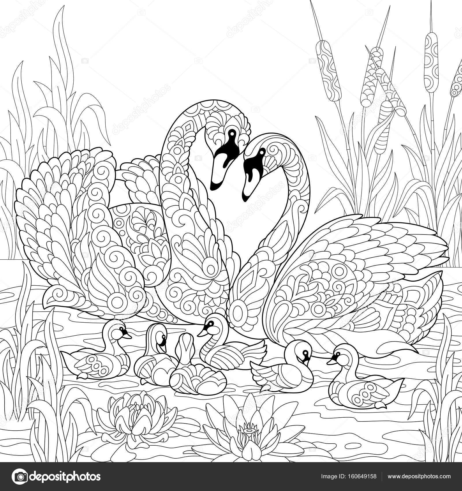 1600x1700 Zentangle Stylized Swan Birds Family Stock Vector Sybirko