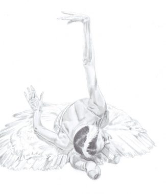 325x380 Ballet Drawings Buy Original Art Online
