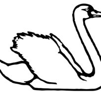 204x204 Inspiration Of Swans Coloring Pages