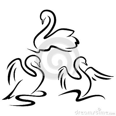 400x400 19 Best Swan Images On Swans, Character Design