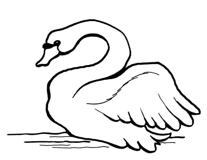 Swan Head Drawing at GetDrawings | Free download