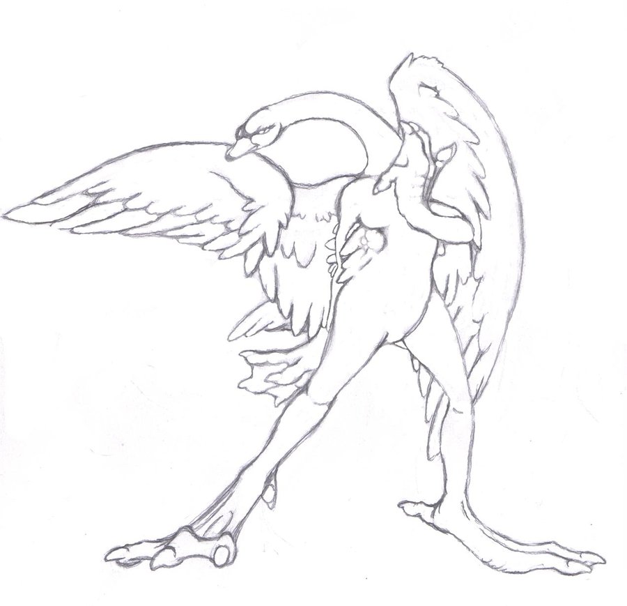 900x869 The Swan And I Aree By Seacigar