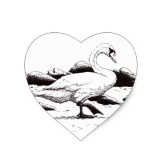 324x324 Swan Walking On The Beach Gifts On Zazzle