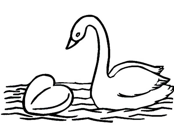 Swan Heart Drawing at GetDrawings | Free download