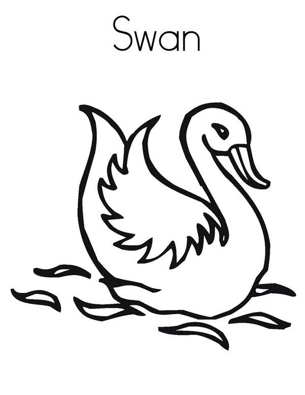 600x776 Kids Drawing Swans Coloring Pages Batch Coloring