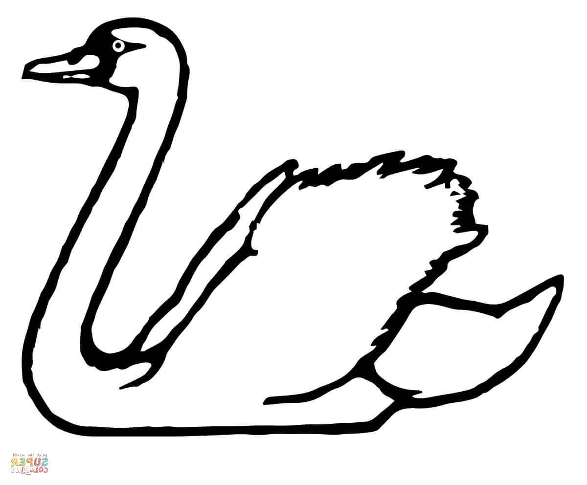 1200x992 Baby Swan Coloring Pages Free Coloring Pages Of Swan Drawing