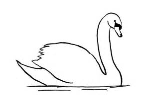 289x216 Swan Pictures To Draw