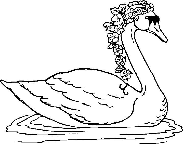 718x565 Swan Coloring Page