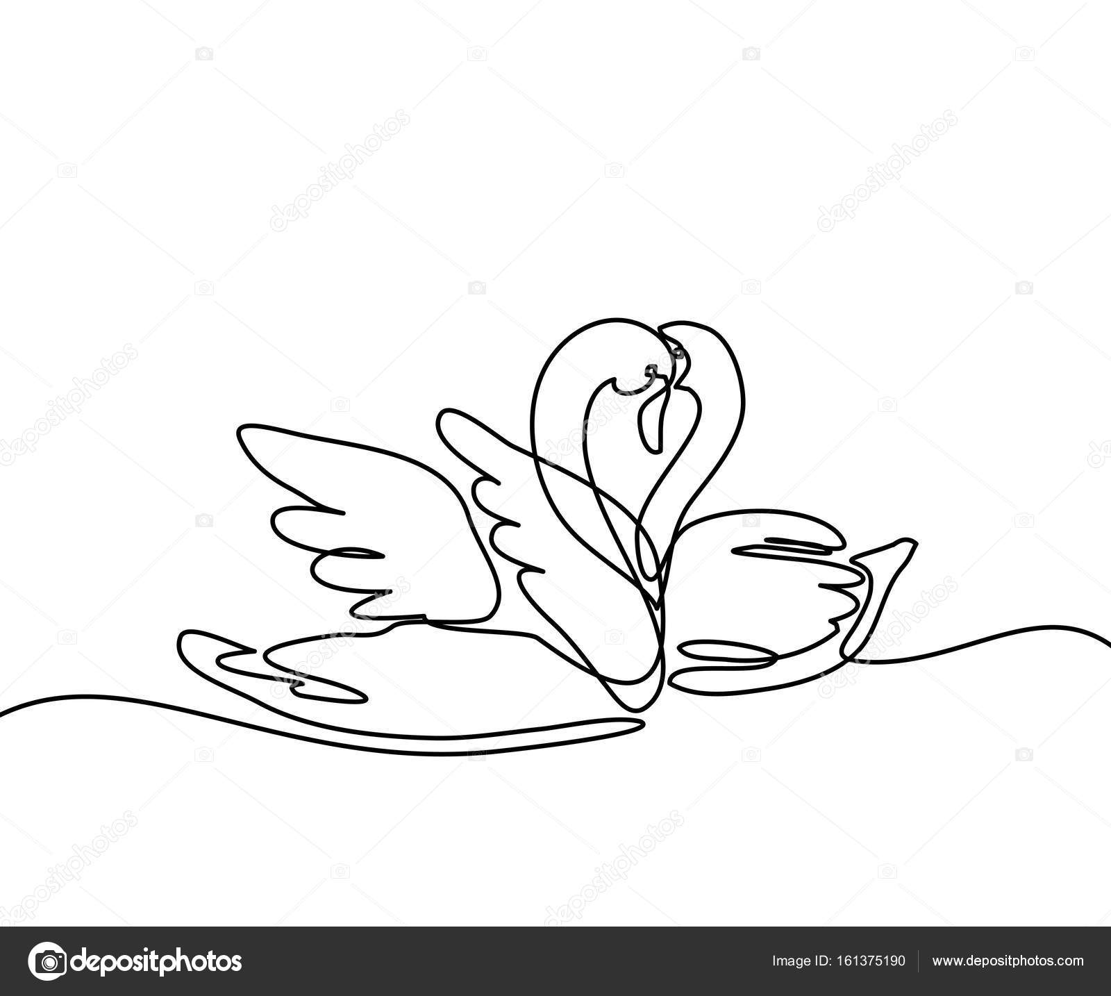 1600x1434 Two Swans Logo Stock Vector Valenty