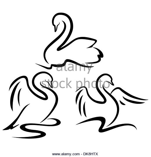 520x540 Neck Tattoo Black And White Stock Photos Amp Images