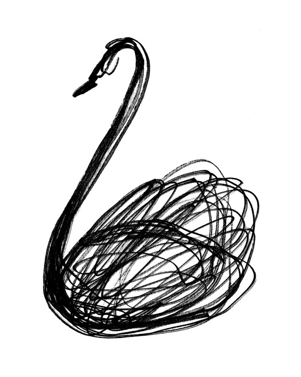 600x750 Pin By Amy Hadden On Swan Swam Over The Sea, Swim Swan Swim