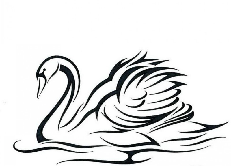 800x575 White Tribal Swan Tattoo Design By Jsharts