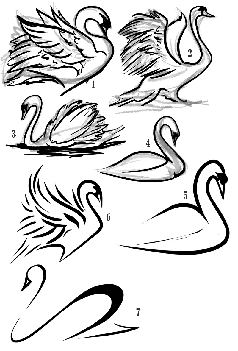 800x1179 Amazing Black Swan Tattoo Flash By Noah