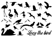 220x156 Buy Black Swan Tattoo And Get Free Shipping