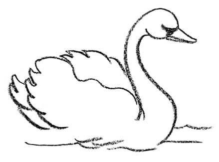 439x325 Elegant Swan Pictures To Draw