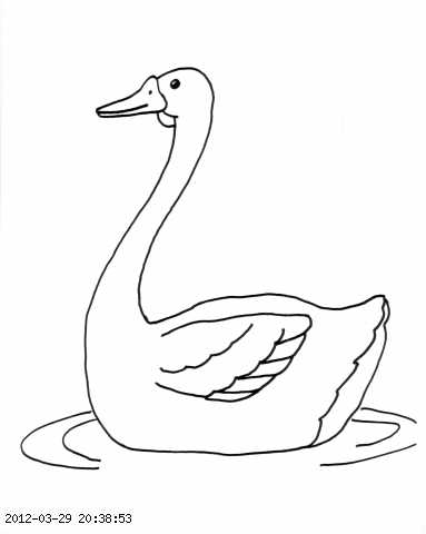 383x480 Swan Clipart Black And White