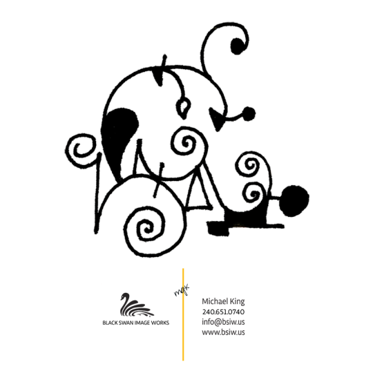 540x553 Black Swan Image Works Line Drawings By Mgk Drawings