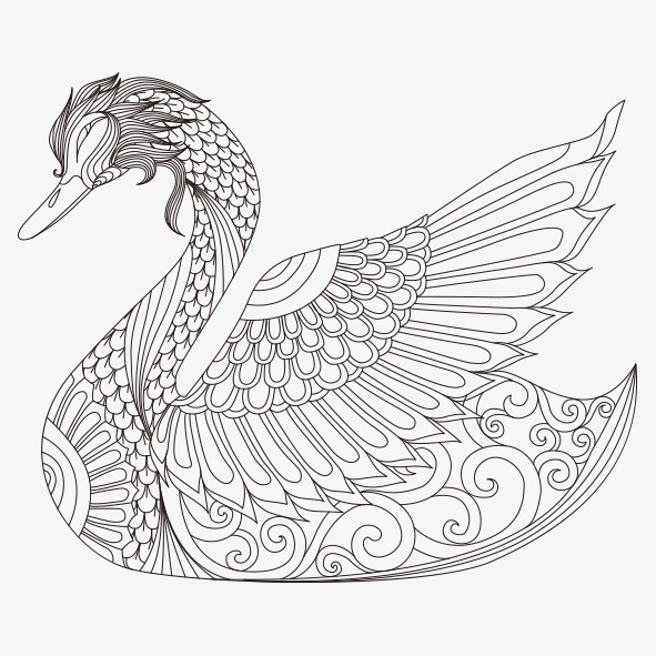 591x591 Hand Painted Swan, Hand Painted, Swan, Line Png Image For Free