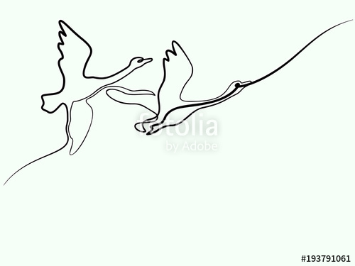 500x375 Continuous One Line Drawing. Couple Swans Logo. Black And White